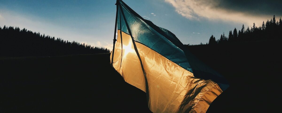 blue and yellow striped country flag