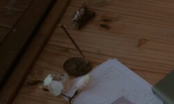 vedic astrology dating